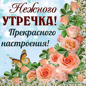 открытка на доброе утро