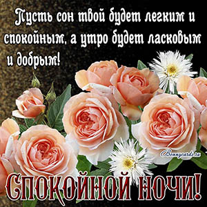 открытка спокойной ночи