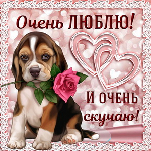 открытка скучаю