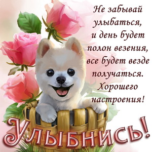 открытка улыбнись